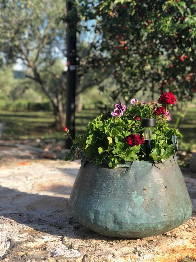 Cottage Rugonj Stari Grad  Εξωτερικό φωτογραφία