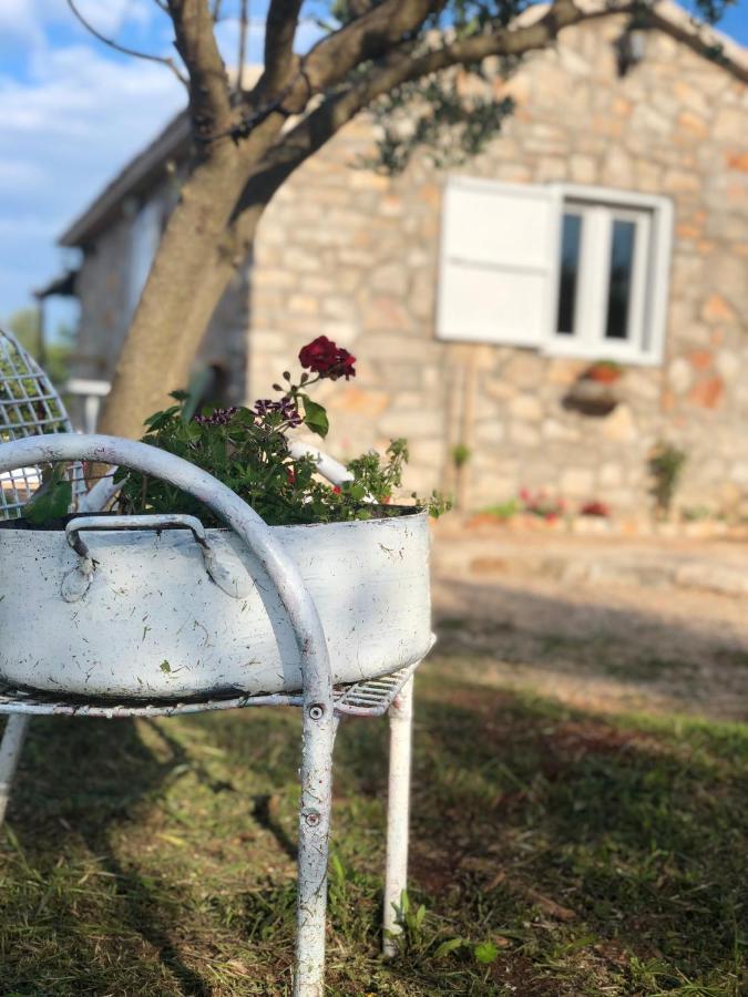 Cottage Rugonj Stari Grad  Εξωτερικό φωτογραφία