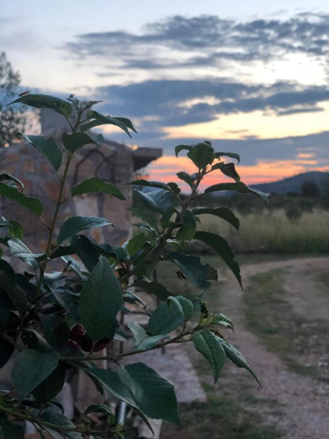 Cottage Rugonj Stari Grad  Εξωτερικό φωτογραφία