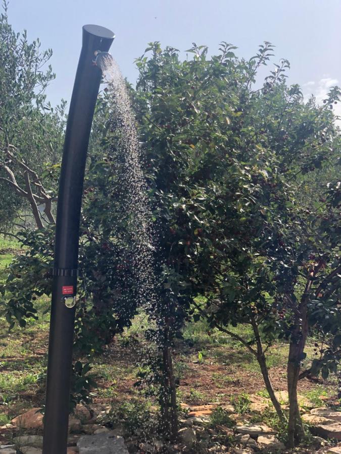 Cottage Rugonj Stari Grad  Εξωτερικό φωτογραφία