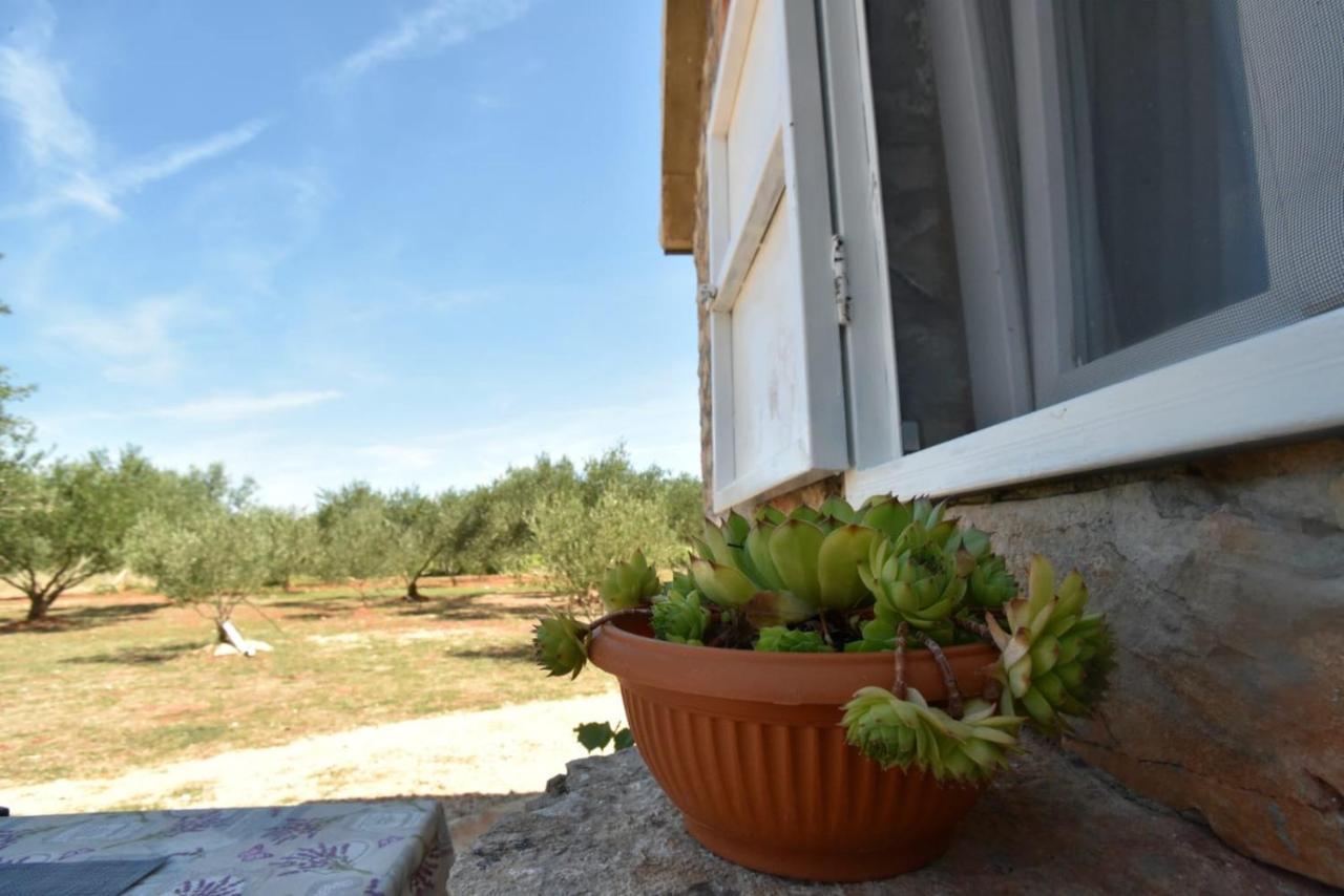 Cottage Rugonj Stari Grad  Εξωτερικό φωτογραφία