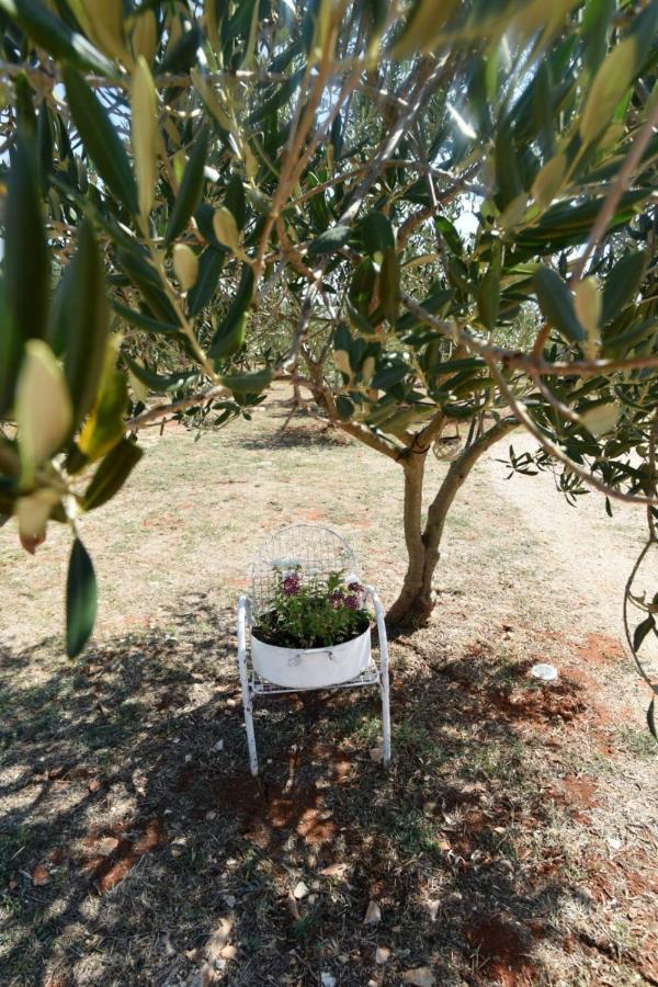 Cottage Rugonj Stari Grad  Εξωτερικό φωτογραφία